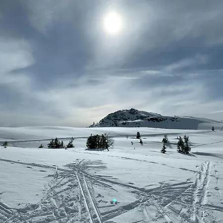 Family Home, Ski-inski-out By Kvitfjell Feriehus *